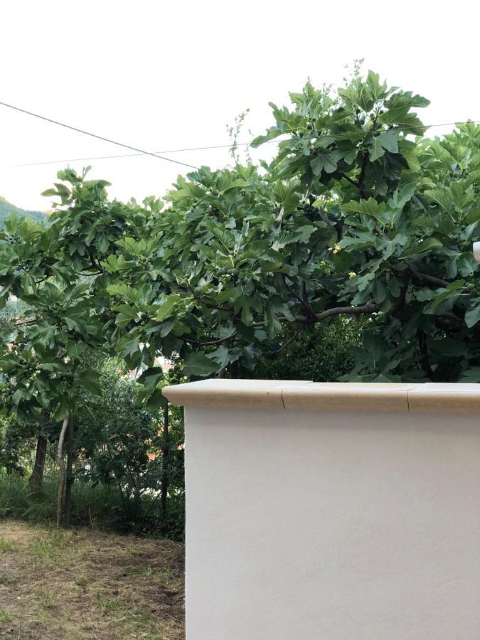A Cammarella Holiday House Pianillo Bagian luar foto